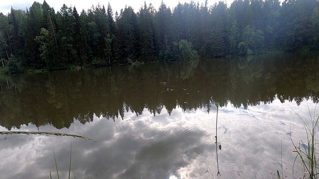 Рыбалка выходного дня на диком озере на карпа.