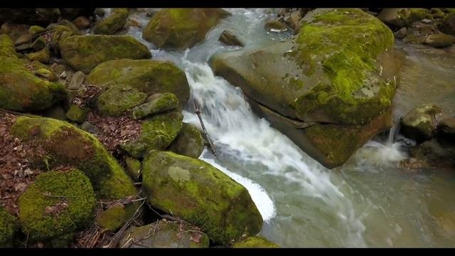 Пшадские скалы вблизи станицы Крепостная