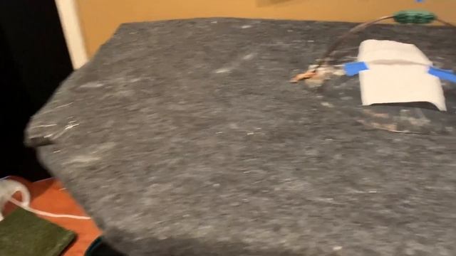 Indoor Housing for American Kestrel