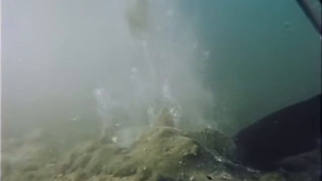 50 1980 Забытый остров Клиппертон - Подводная одиссея команды Кусто