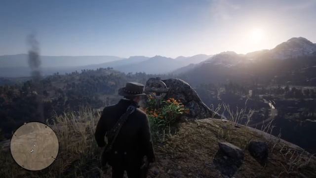 Achieving 100% In RDR2 On a Day 1 Save File Almost 4 Years Later