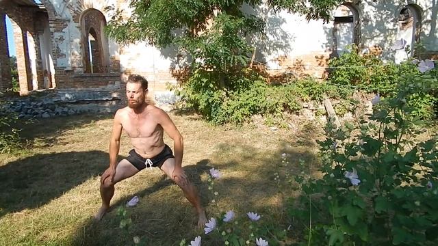 Удивительный человек Радга, село Хорошки, усадьба Вишневецкого
