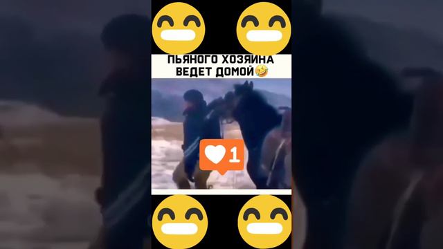 Рамазан на прогулке 🚶