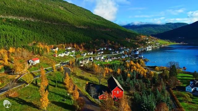 Музыка лечит сердце и сосуды? Успокаивающая музыка восстанавливает нервную системурасслабляющая 1