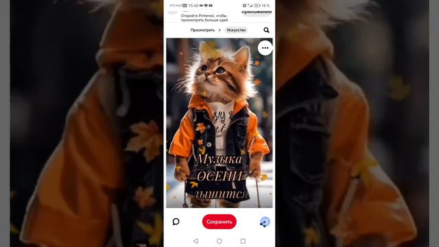 Кошкин лес.