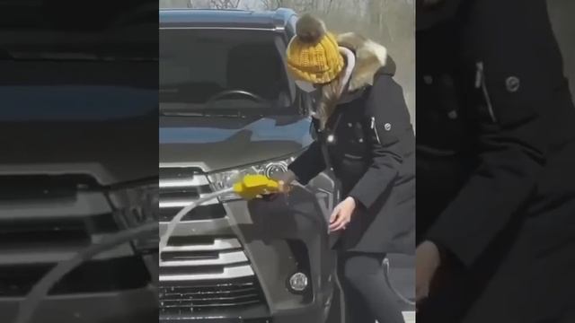 смех