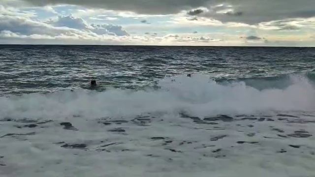 Такое разное Чёрное море. Абхазия.