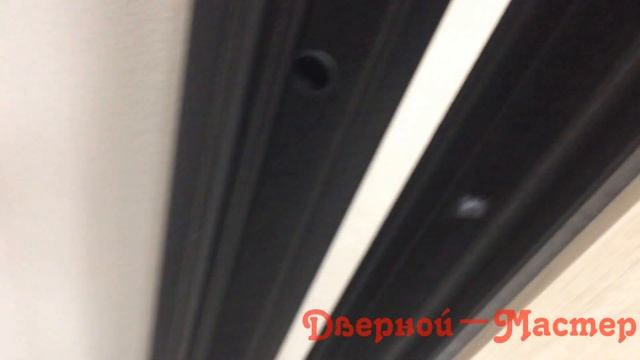 ГАРДА MIRROR
