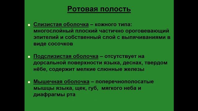 Ротовая полость. Стенки. Особенности строения слизистой