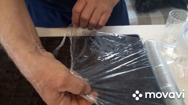 КАК ПОСАДИЛИ ПАВЛОВНИЯ СЕМЕНАМИ ДЕРЕВО МЕДОНОС