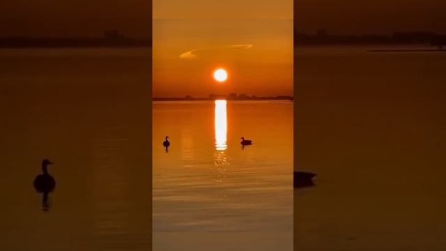 Лера Астрооберег, делает прогноз на 12 апреля. Смотреть сейчас!