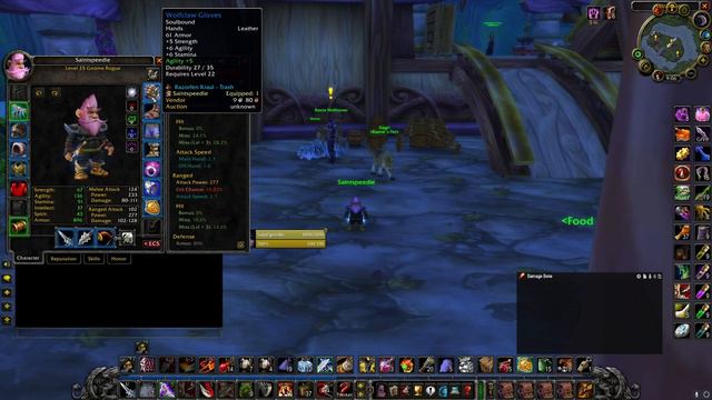 SOD Rogue PRE-RAID BIS OVERVIEW!