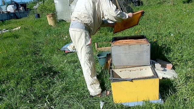 Как правильно работать с пчелой чтобы не жалила.
Смотреть до конца!