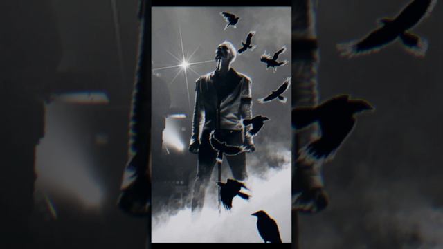 1000023463.mp4