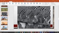 PowerPoint Slideshow- Photos With Music in PowerPoint Transitions