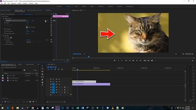 Premiere Pro CC : How to Animate a Moving Arrow