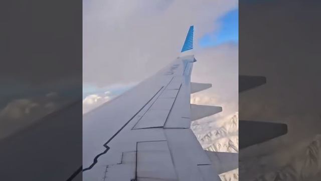 У лайнера Boeing 737 MAX 8 аргентинских авиалиний чуть не оторвалось крыло во время полёта