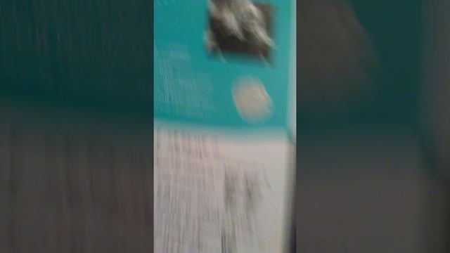 Вафельное сердце.