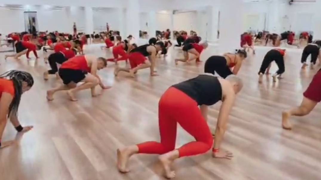 Jam Moscow2024 AnimalFlow