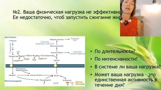 Давно на ПП и не худею. Почему? Елена Бахтина врач гинеколог основатель движения Старости нет