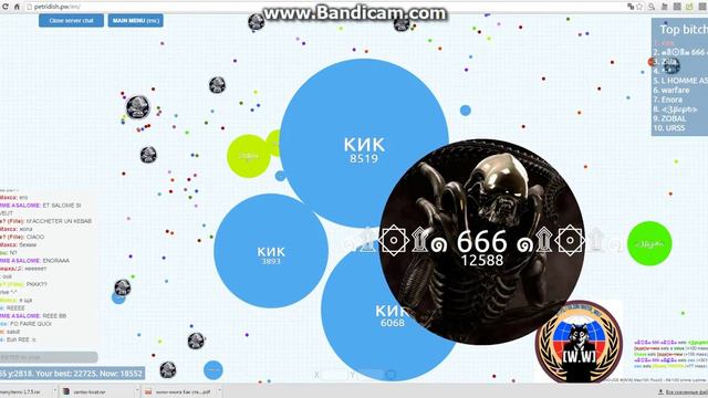 agario чашка петри