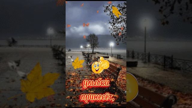 Доброго вечера, хорошего отдыха ❤💋