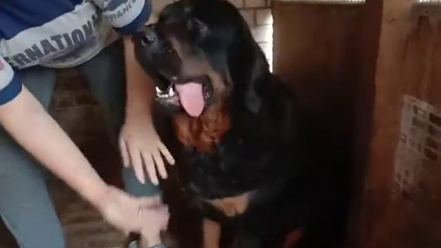 video 20190717 191737