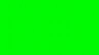 Зелёный цвет / Green color