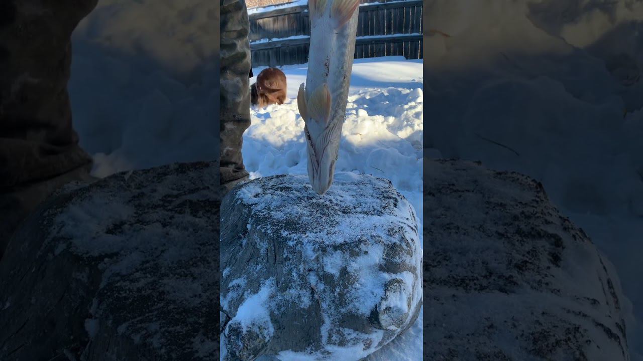 Такой способ чистки рыбы вы еще не видели