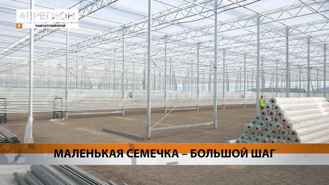 ПЕРВУЮ СЕМЕЧКУ ВЫСАДИЛИ В НОВОМ ТЕПЛИЧНОМ КОМПЛЕКСЕ НА КАМЧАТКЕ • НОВОСТИ КАМЧАТКИ