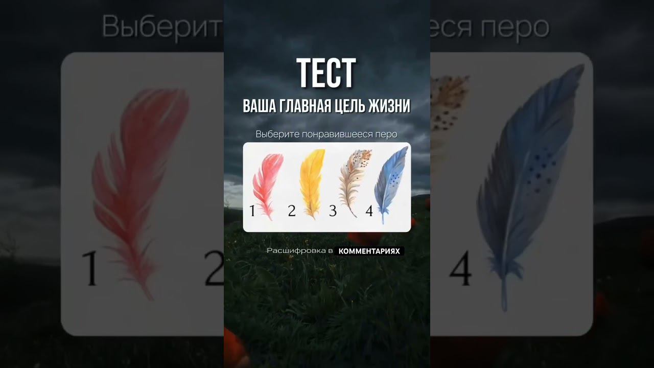 Тест ВАША ГЛАВНАЯ ЦЕЛЬ В ЖИЗНИ #развлечения #психология