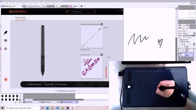 DragonFox ART Animation + Gaomon M1230 Tablet Review