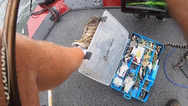 Gulp Alive Minnow Versus A Real Minnow