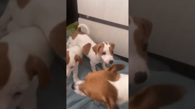 за три дня до расставания с мамой.