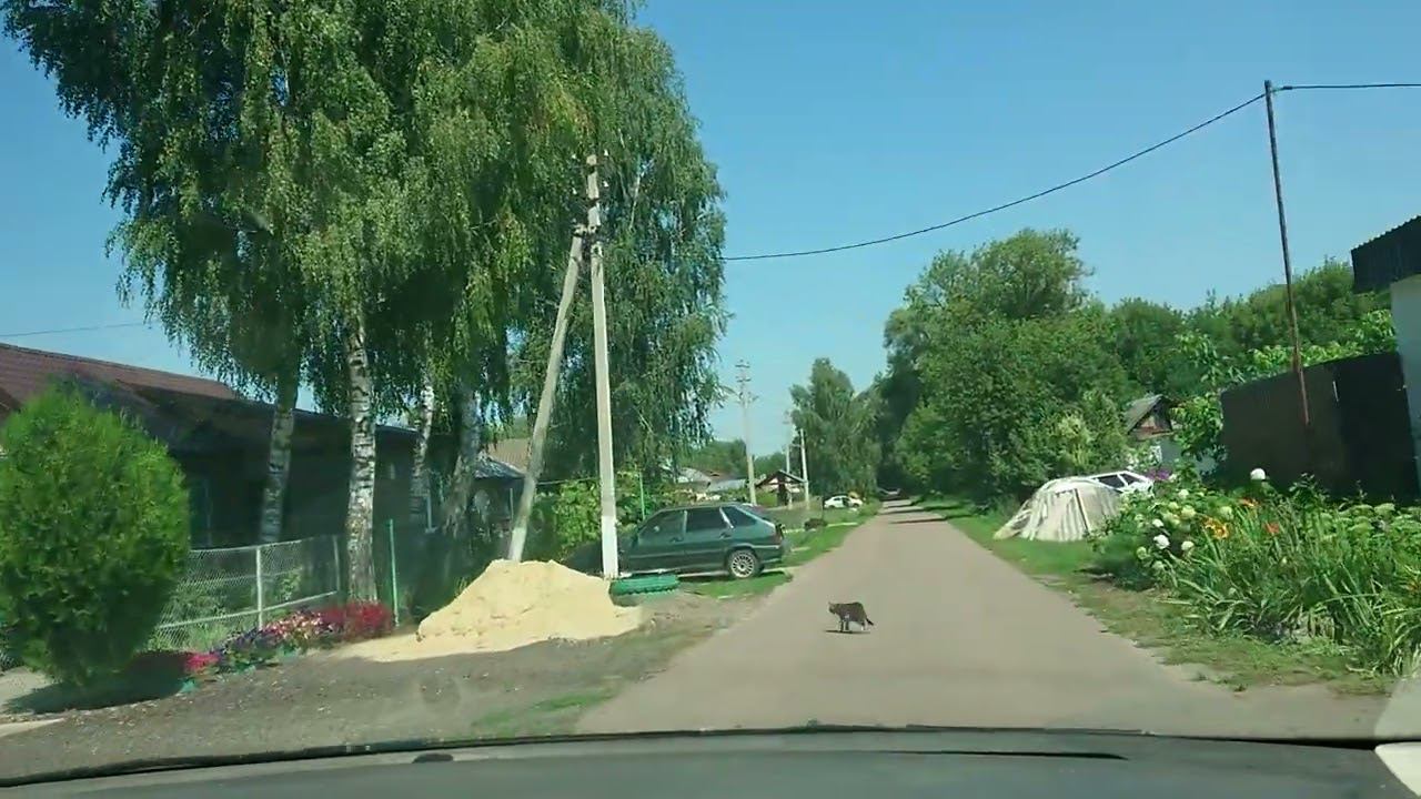 06.08.2022. Рассыльная.