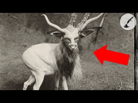 The Goatman of Demon Hill: A True & Monstrous Encounter in Rural England | Documentary