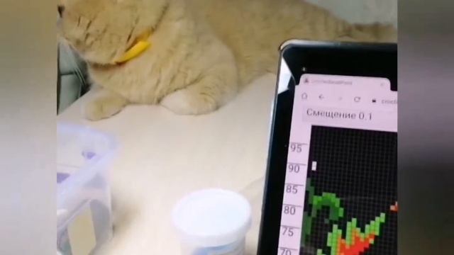 Опять Павлин!!!Какая прелесть. Разделите со мной работу над этим проектом. Ассистент не дремлет.