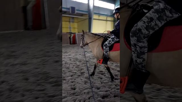 Максим учится управлять лошадью