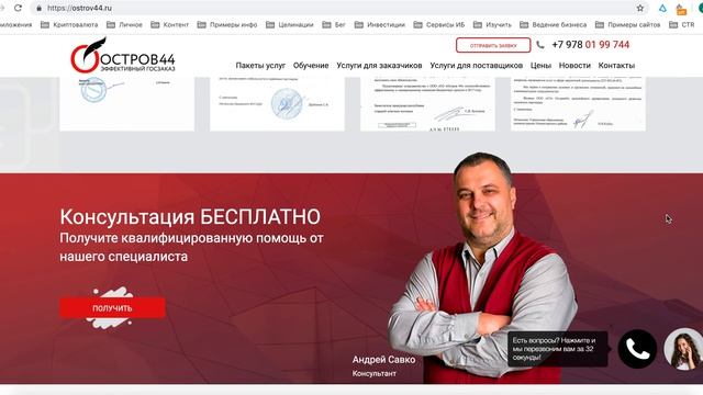 Разбор сайта по тендерам Остров44. Как создать сайт тендеров?