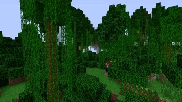 Очередная история о Herobrine( реальность или всетаки миф)