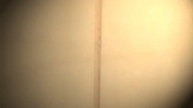Большая квест игра Форт Боярд