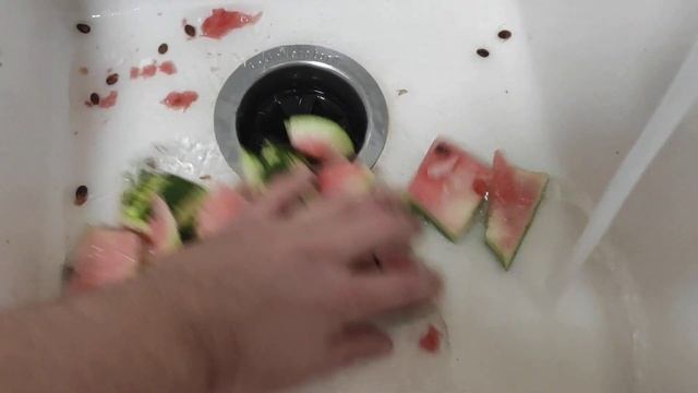 Измельчаем арбуз в диспоузере