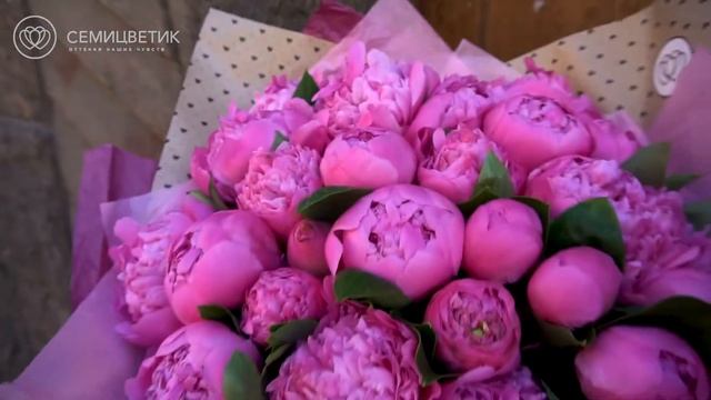 Букет из 25 ярко-розовых пионов