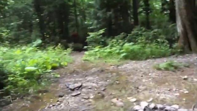 Из Гуамки  : Монахова пещера и водопад Орлиные полки