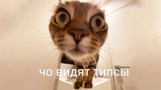 мееееемг