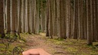 Самостоятельно выучить буквы Детский алфавит Е
