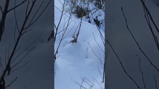 Протестили вездеход по полной. Порвали оба моста. Зато отдохнули от души!