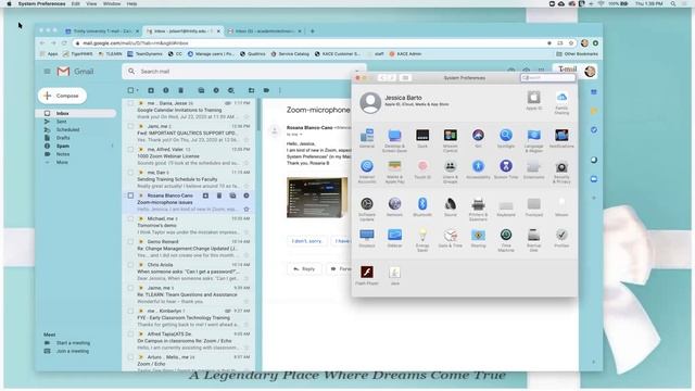 Microphone/Camera Settings on Mac Privacy and Security