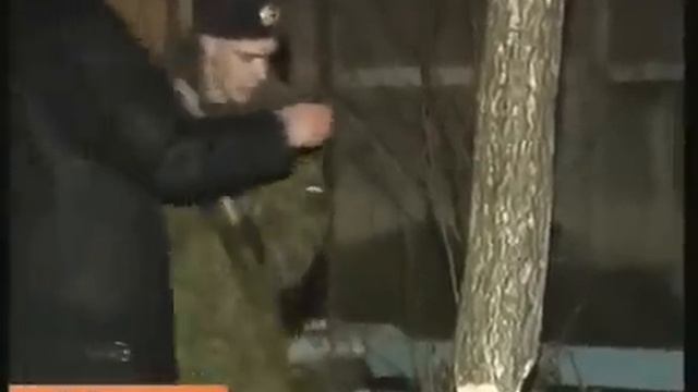 Российская армия снимает с дерева кота.