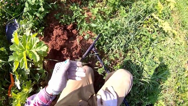 ЧТО МОЖНО НАЙТИ в деревне, которая исчезла много десятилетий назад?